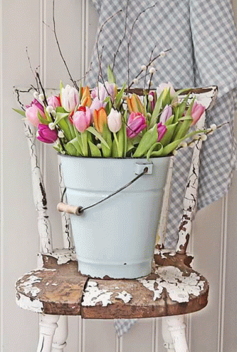 a blue bucket filled with pink and orange flowers is sitting on a chair