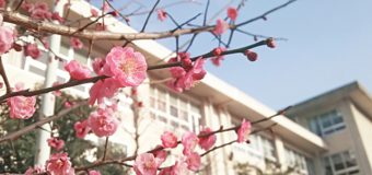 大学にただようウィズコロナ／アフターコロナという暗い影