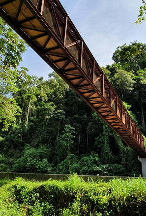 Sustentabilidade e Inovação