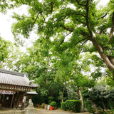 神足神社の写真