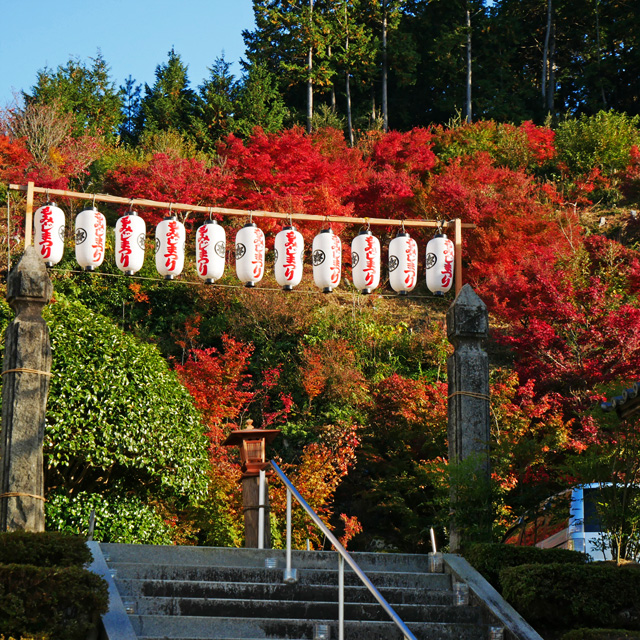 与謝野町 慈徳院の紅葉写真