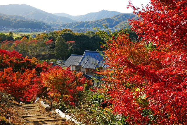 与謝野町 慈徳院の紅葉写真