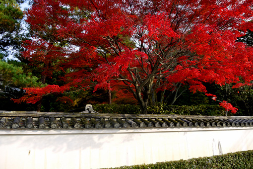 妙心寺桂春院