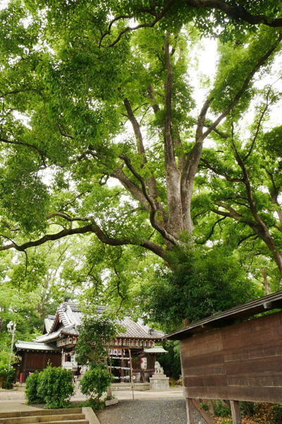 神足神社