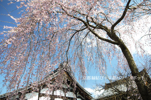 満願寺