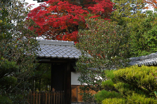 妙心寺徳雲院