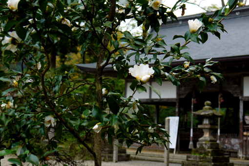 浦嶋神社