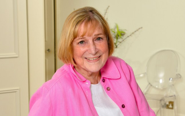 Mandatory Credit: Photo by Mike Lawn/REX/Shutterstock (5455004c) Shirley Conran, British novelist and journalist Shirley Conran photoshoot, London, Britain - 08 Oct 2014