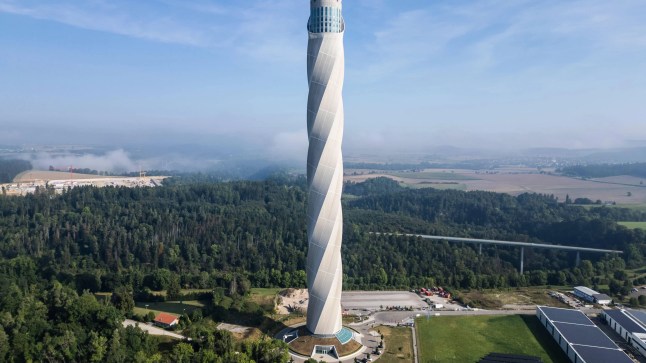 A skyscraper towers over a forest