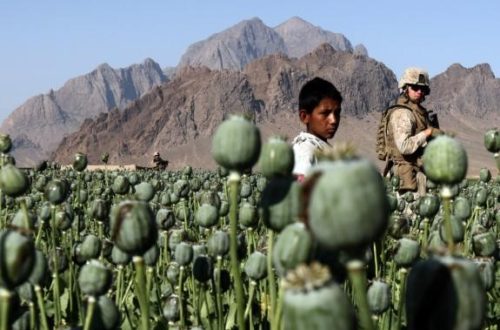 Article : Afghanistan : des opiacés en or…