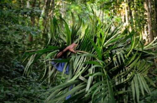 Article : Le 5 juin, c’est la Journée Mondiale de l’Environnement, vous avez dit ?