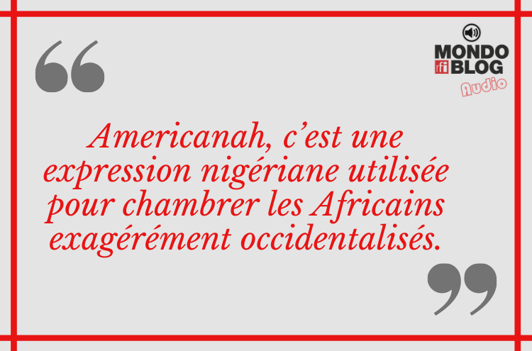 Article : Americanah : mise en lumière d’un parcours migratoire