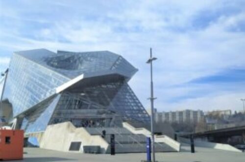 Article : Découvre le musée des Confluences