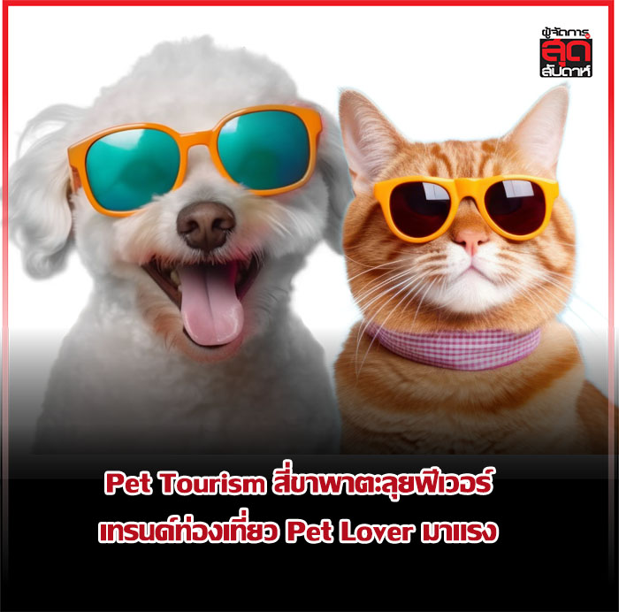 Pet Tourism สี่ขาพาตะลุยฟีเวอร์ เทรนด์ท่องเที่ยว Pet Lover มาแรง