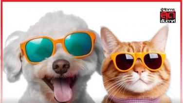 Pet Tourism สี่ขาพาตะลุยฟีเวอร์ เทรนด์ท่องเที่ยว Pet Lover มาแรง