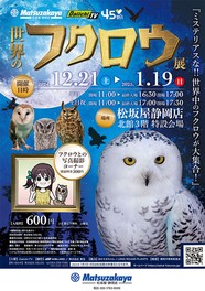 世界のフクロウ展