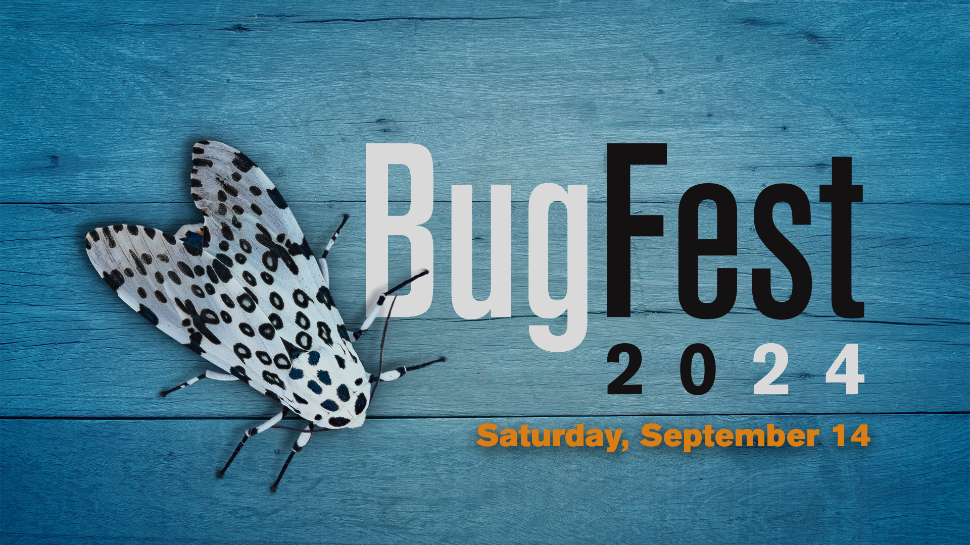 BugFest 2024 | September 14 | Saturday 10am-7pm