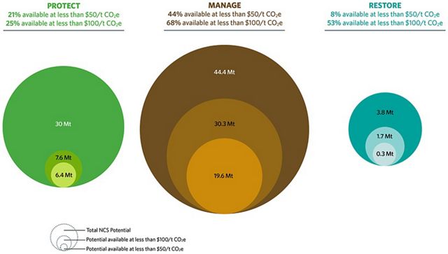 graphic showing cost breakdown for protection, management and restoration pathways