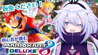 【マリオカート8DX】第2回RPG杯マリオカート！初心者だけど参加しちゃう！！！【新人Vtuber】