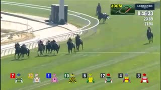 香港スプリントで多重落馬……