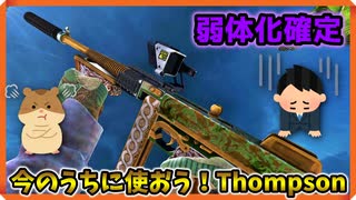 【Ironsight】37 elim TDM! ついに弱体化が確定；； アンティーク ThompsonでTDM（Thompson） Part595【アイアンサイト】【Steam 無料FPS】