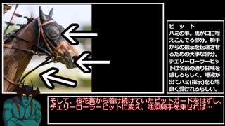 ウマ娘民が解説するメイケイエールについて（中編）