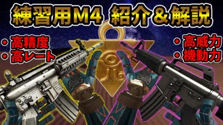 【Ironsight】封印されし銃が今解き放たれる！新武器「練習用M4」の紹介＆解説（Traning M4） Part611【アイアンサイト】【Steam 無料FPS】