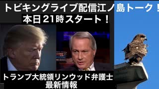 本日２１時トビキングライブ配信江ノ島トーク！