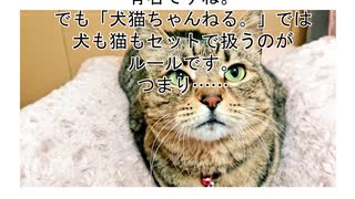 【ネタ】えとねこ～干支猫～