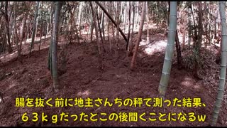 (閲覧注意・猪捕獲)変態忍者の、有害鳥獣駆除従事活動記・その２６２