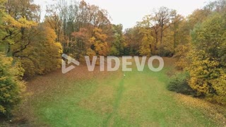 Man Stands Still In The Middle Of The Park And Enjoys The View Of the Autumnal Trees