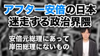 安倍晋三元総理亡き後の政治界隈の迷走について