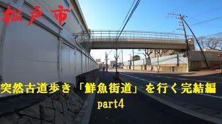 【散歩】千葉県松戸市松戸新田を歩く【突然古道歩き「鮮魚街道」を行く完結編 part4】