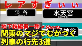 【地下鉄編第一弾】地下鉄のマジでめったに見れないレア行先3選【東京メトロ】【ゆっくり解説】#Shorts