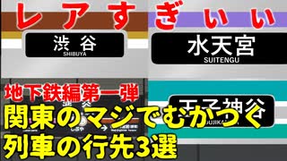 【地下鉄編第一弾】地下鉄のマジでめったに見れないレア行先3選【東京メトロ】【ゆっくり解説】