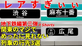 【地下鉄編第三弾】マジでめったに見れないレア行先3選【東京メトロ】【ゆっくり解説】＃Shorts