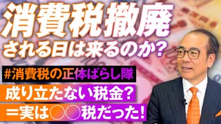 党員限定_安藤さん「消費税」v2