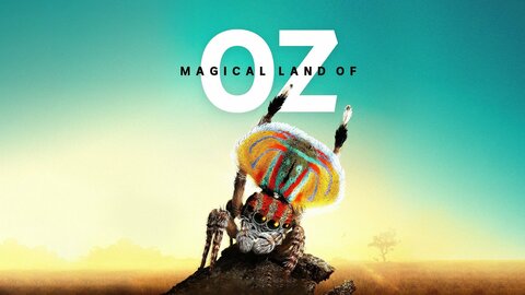 Magical Land of Oz