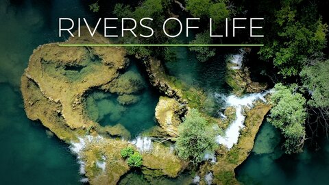 Rivers of Life