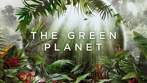 The Green Planet