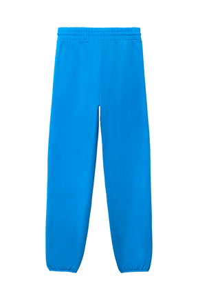 BASK ATHLETICS PANT / BLUE RUSH