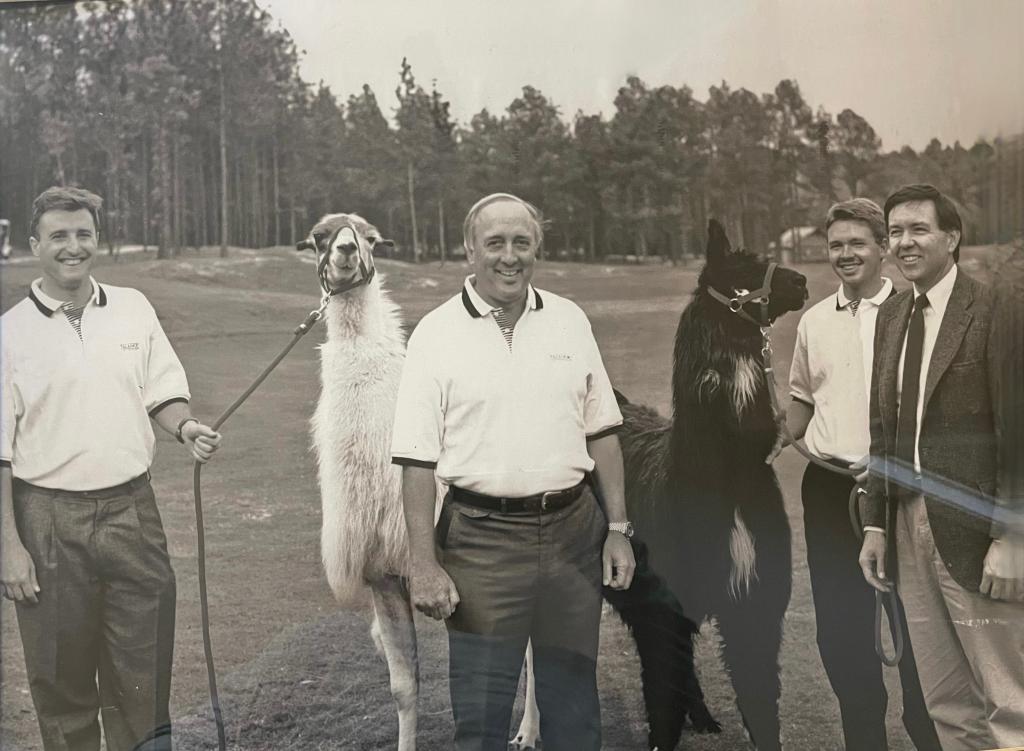Black and white photo of 4 men with 2 llamas on a golf course.