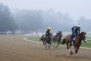 Horses work out ahead of the 156th running of the Belmont Stakes horse race at Saratoga Race Course, Friday, June 7, 2024, in Saratoga Springs, N.Y.