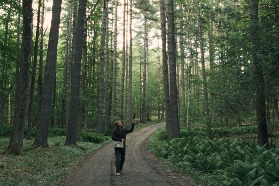 A person wearing headphones holding a microphone in the middle of a forest path.