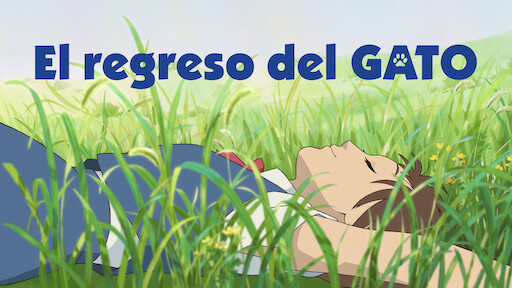 El regreso del gato