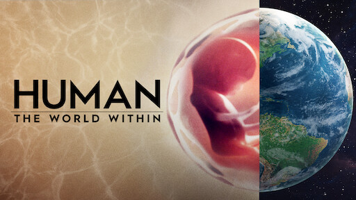 Human: The World Within