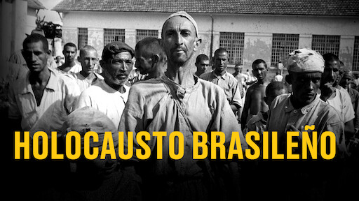 Holocausto brasileño