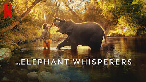 The Elephant Whisperers