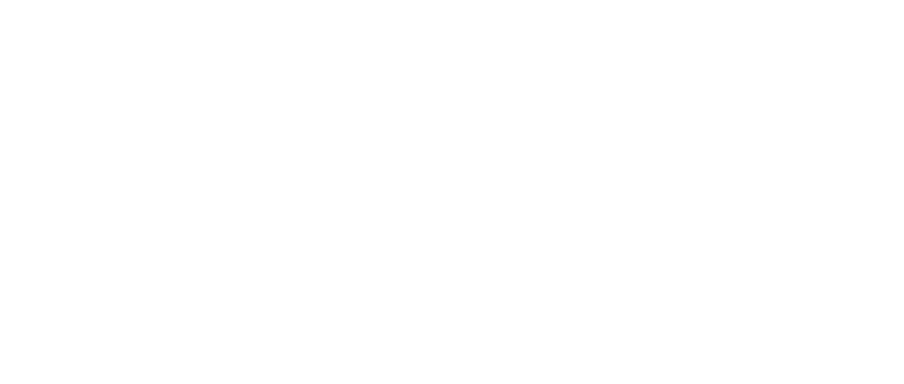 Dos policías rebeldes