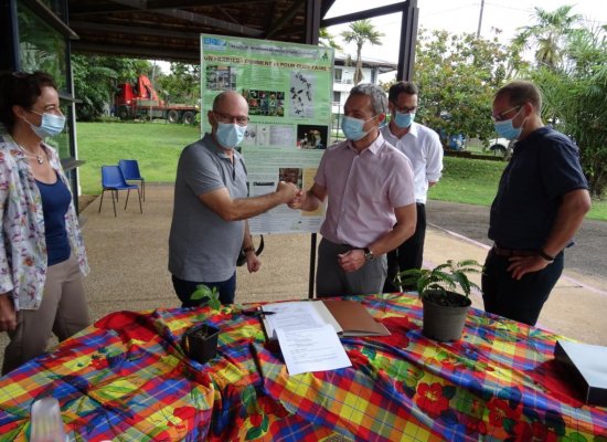 Guyane : IRD et EDF ensemble pour la collecte des plantes rares du territoire